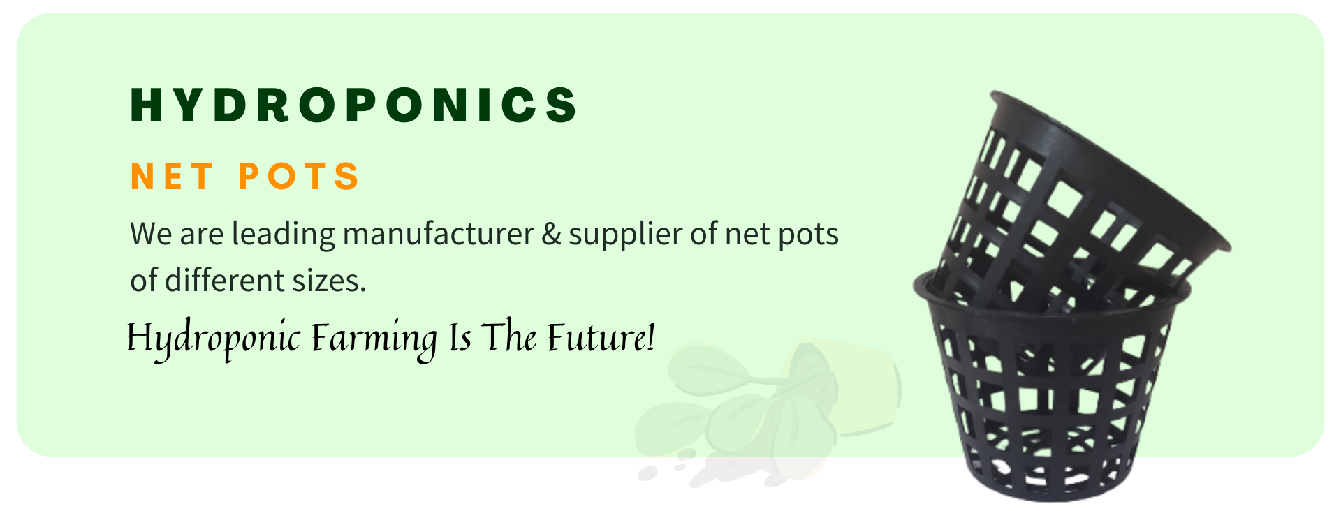 Net Pots skaylex hydroponics