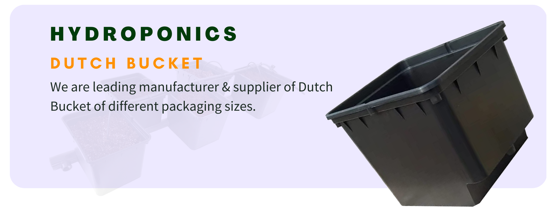 dutch Bucket skaylex hydroponics